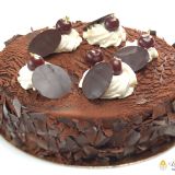 Shooting-Louis-DUBOIS-35656