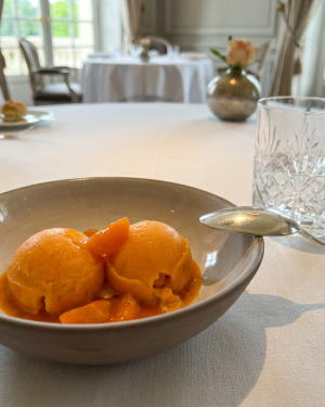 Sorbet Abricot Bergeron – Vallée du Rhône