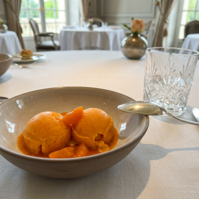 Sorbet Abricot Bergeron – Vallée du Rhône